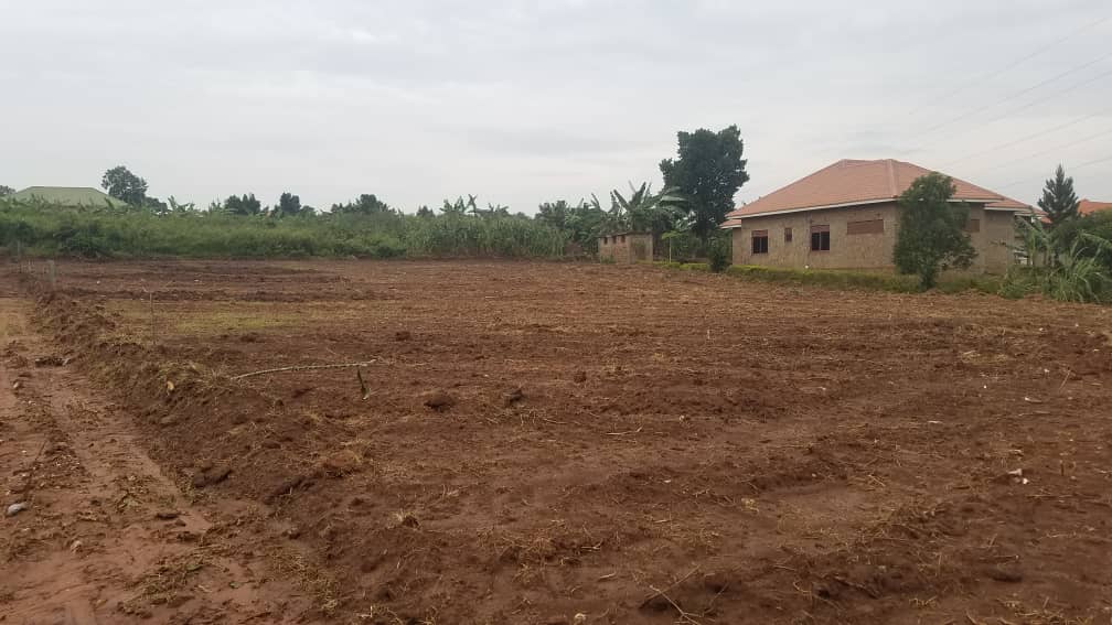 50 by 100 plots of land in kawanda