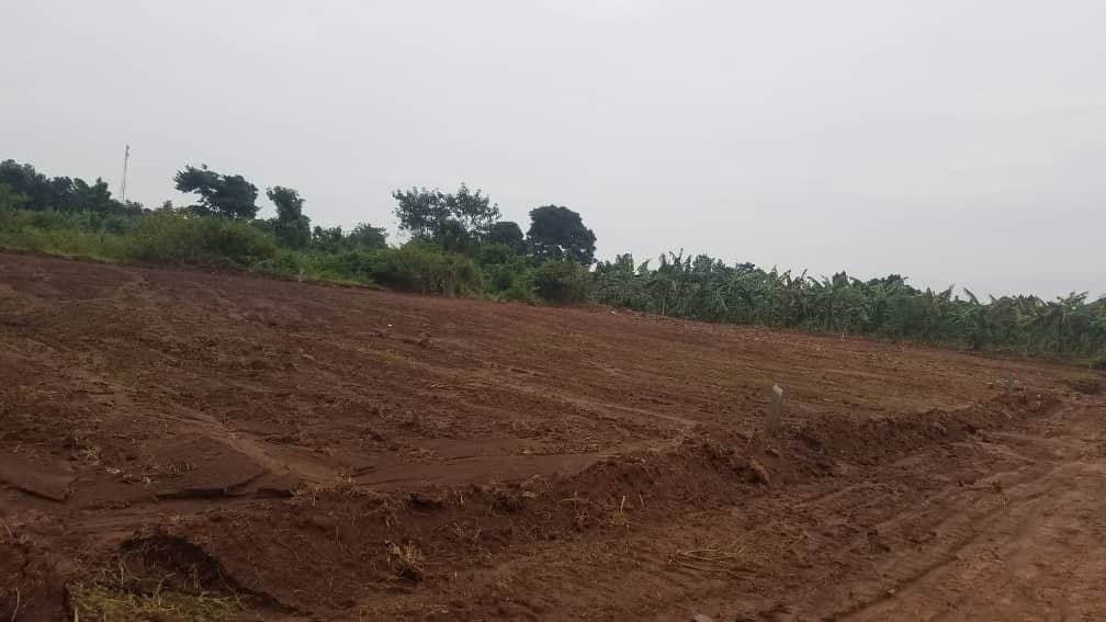 50 by 100 plots of land in kawanda