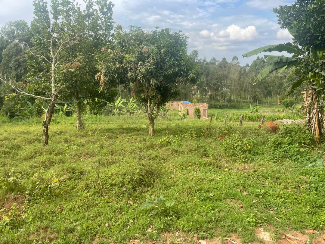 90ft by 100ft Plot of land for sale at  Buwambo
