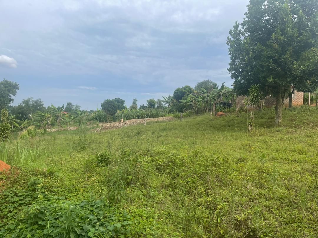 90ft by 100ft Plot of land for sale at  Buwambo