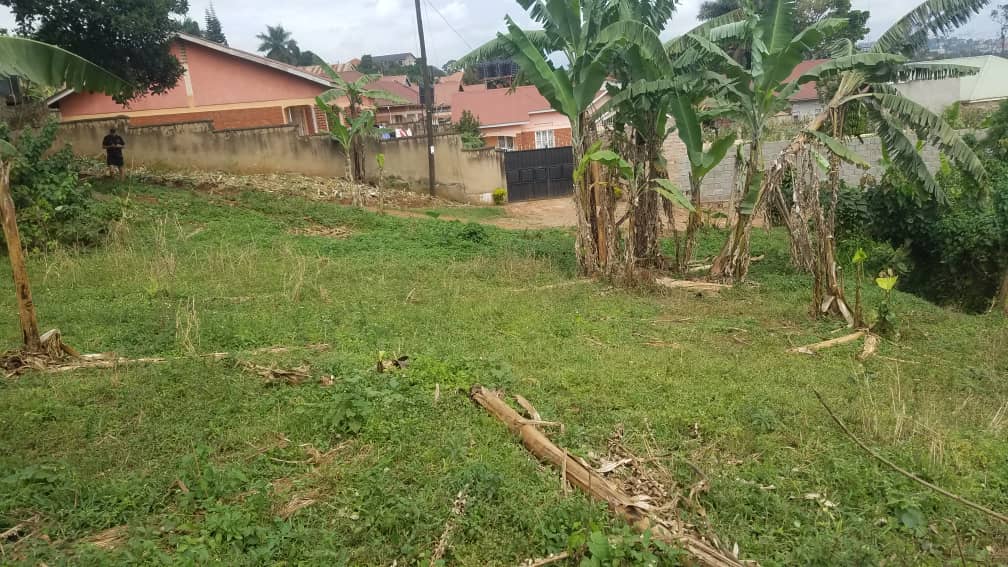 12 decimals  Plot of land for sale in Kisaasi 