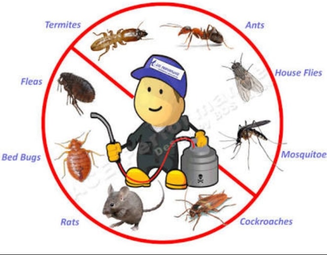 Fumigation and Pest Control 