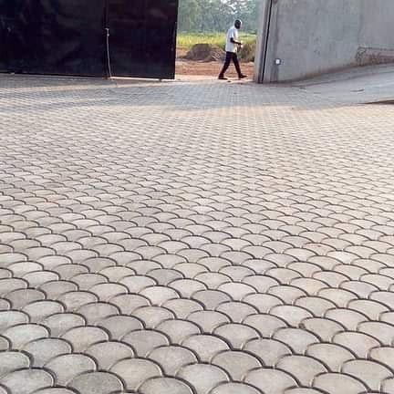 paver laying