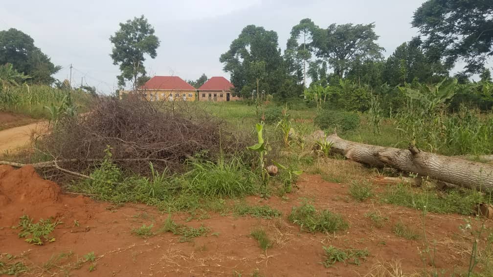 50ft by 100ft plots for sale at Gayaza  Manyangwa  Kabubu