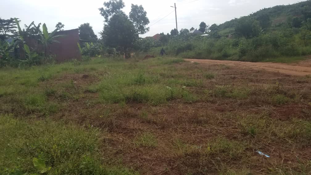 50ft by 100ft plots for sale at Gayaza  Manyangwa  Kabubu