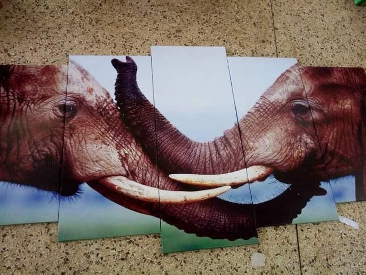 elephant Wall art