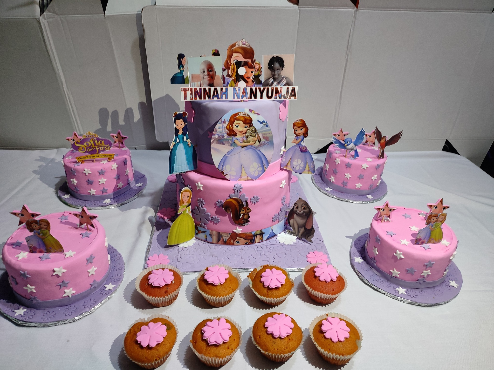 princess sofia cake set