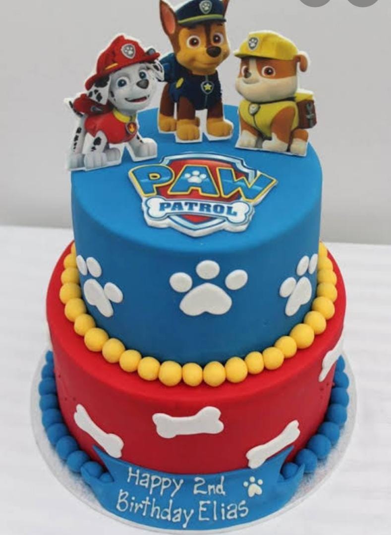  2 tier paw patrol birthday cake