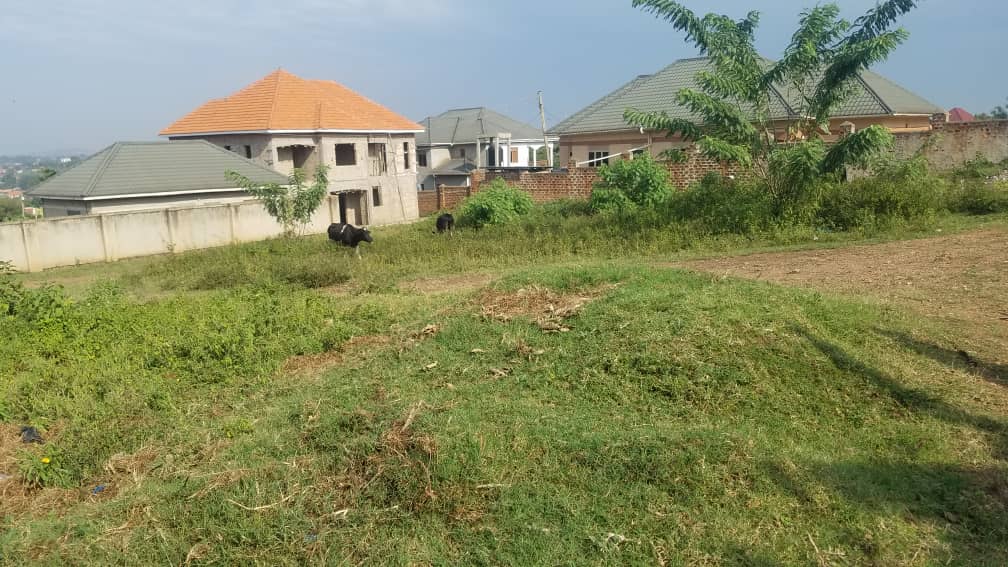 100ft by 100ft Plot for sale at Gayaza  Naalya