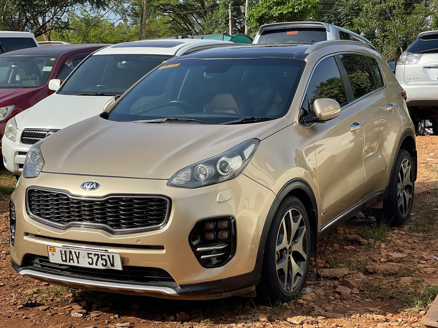 KIA sportage model 2016