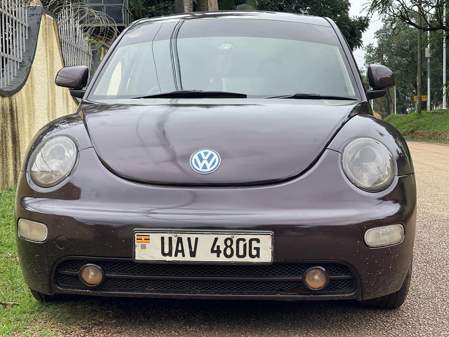 Volkswagen Beatle model 2003