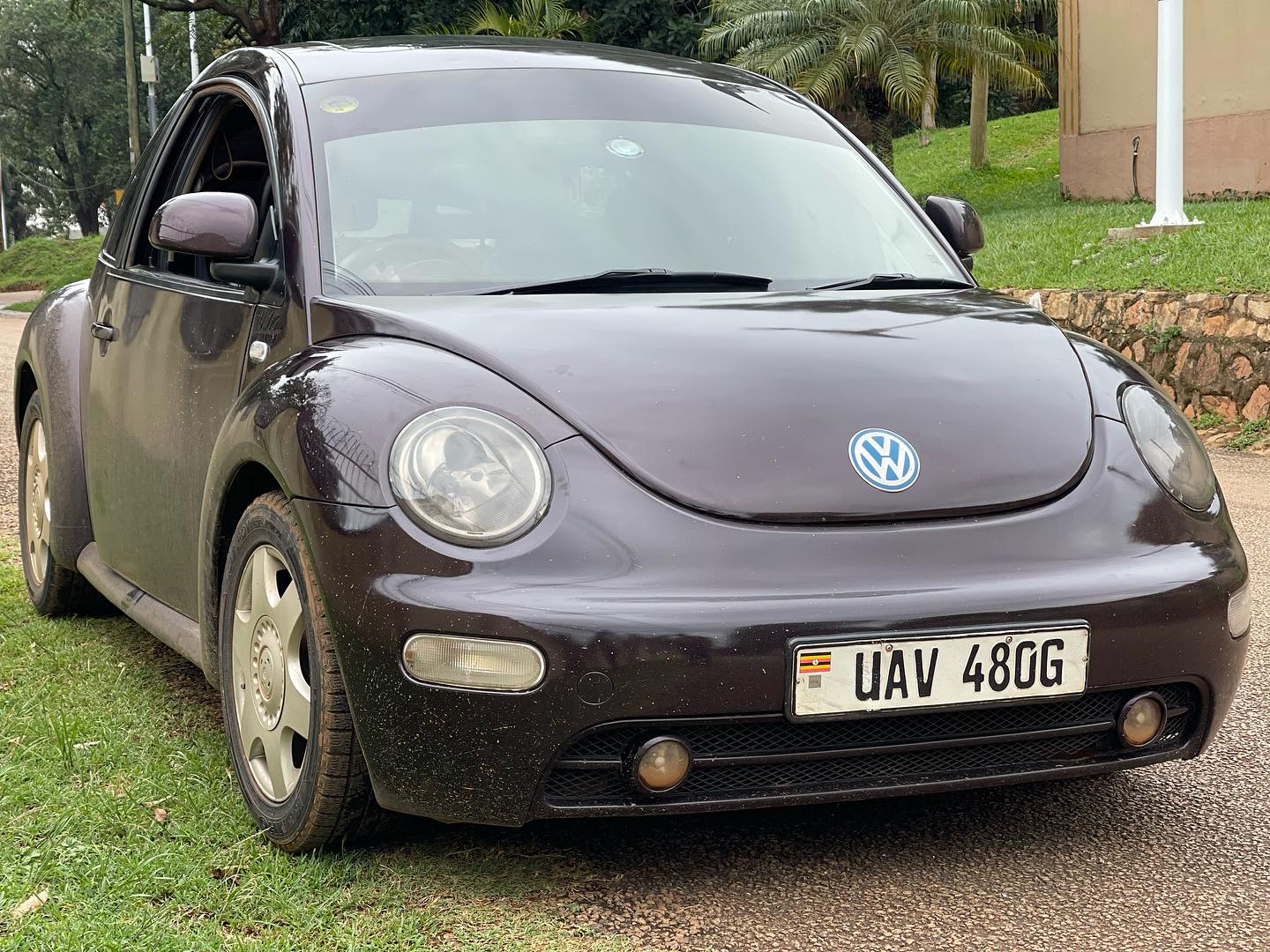 Volkswagen Beatle model 2003