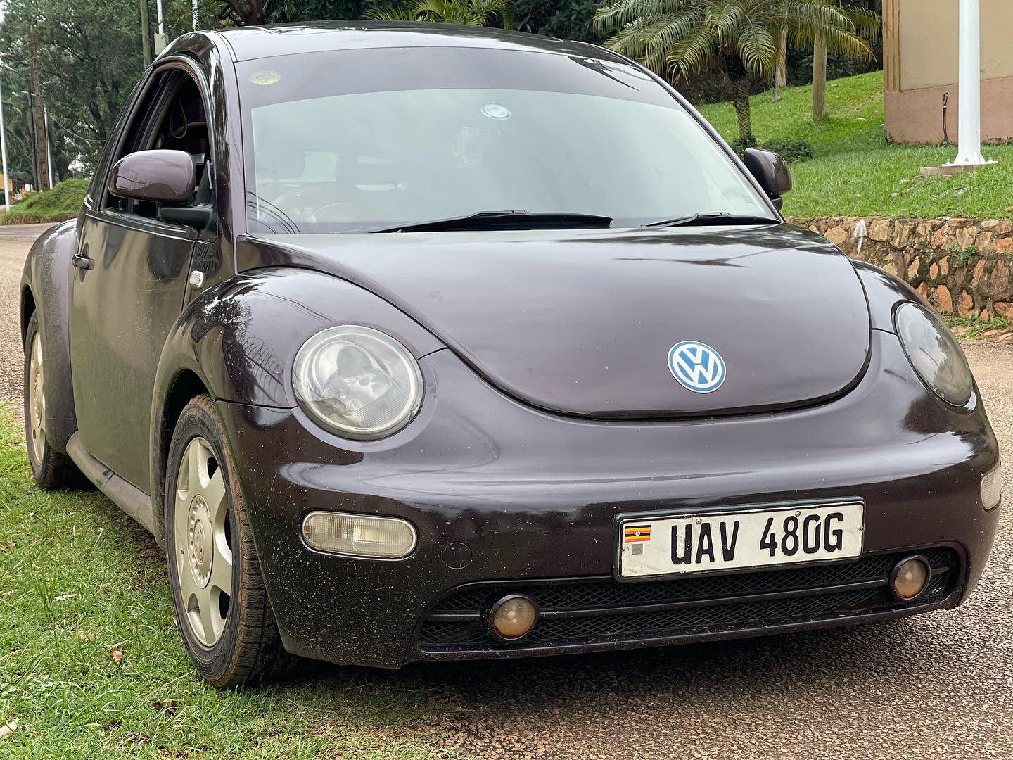 Volkswagen Beatle model 2003