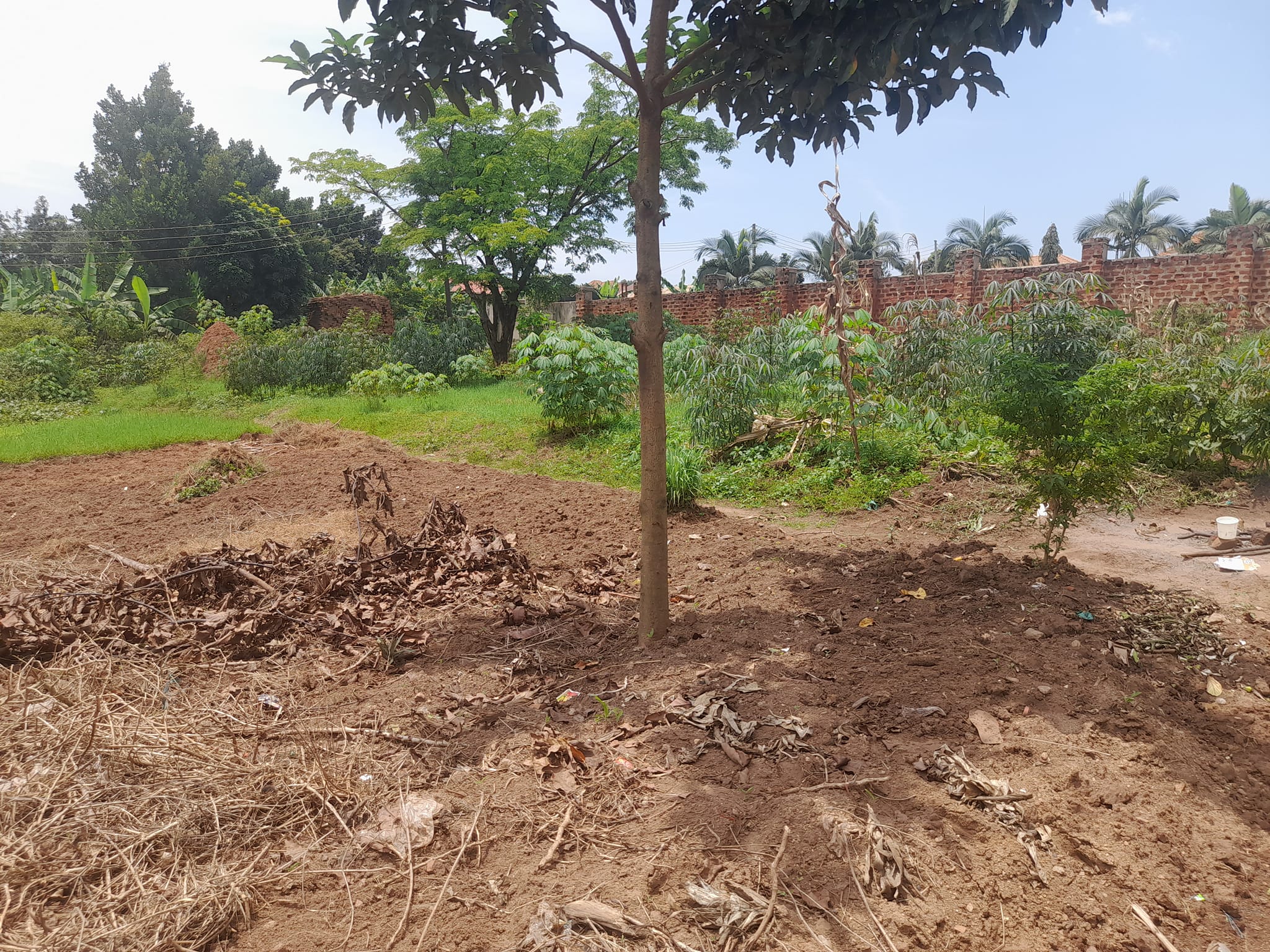 25 decimals plot for sale  at Wakiso 