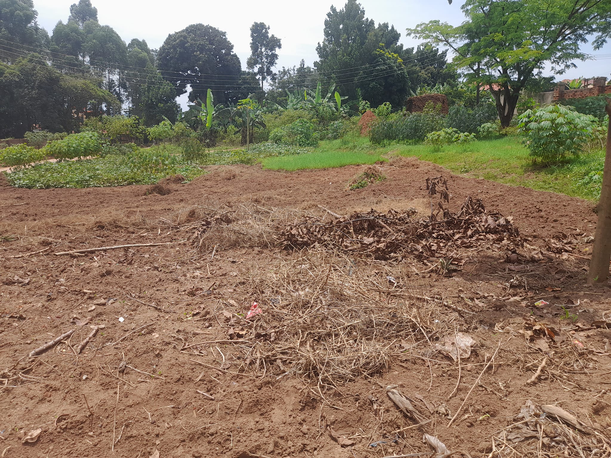 25 decimals plot for sale  at Wakiso 