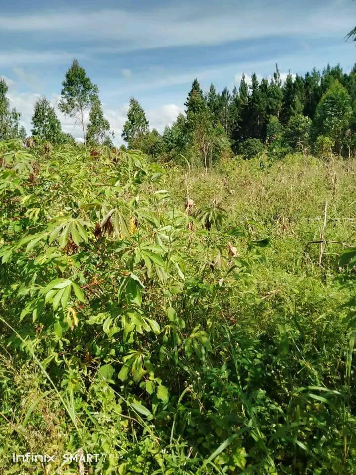 45 acres for sale  at Zigoti Mityana Road