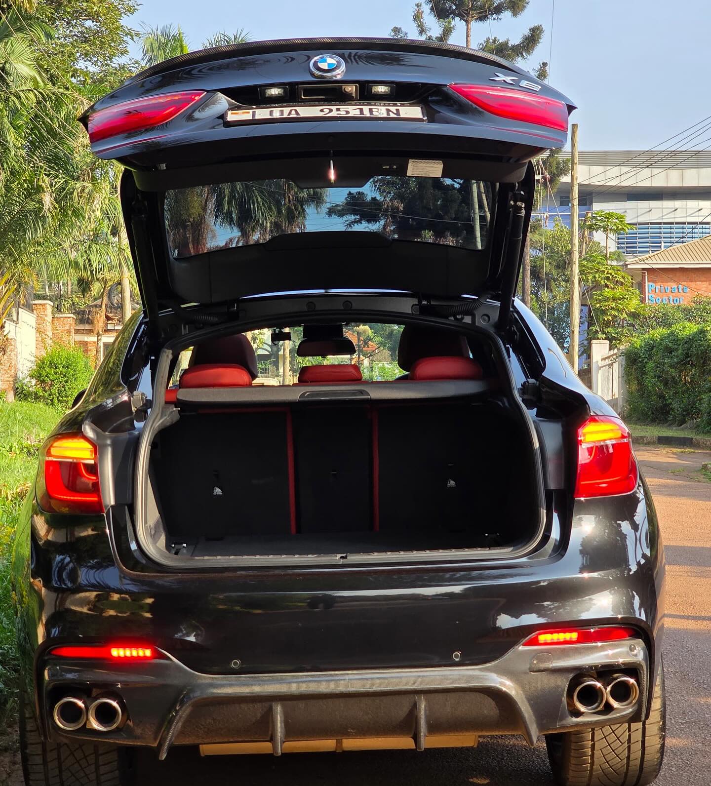 BMW X6 model 2018 petrol engine