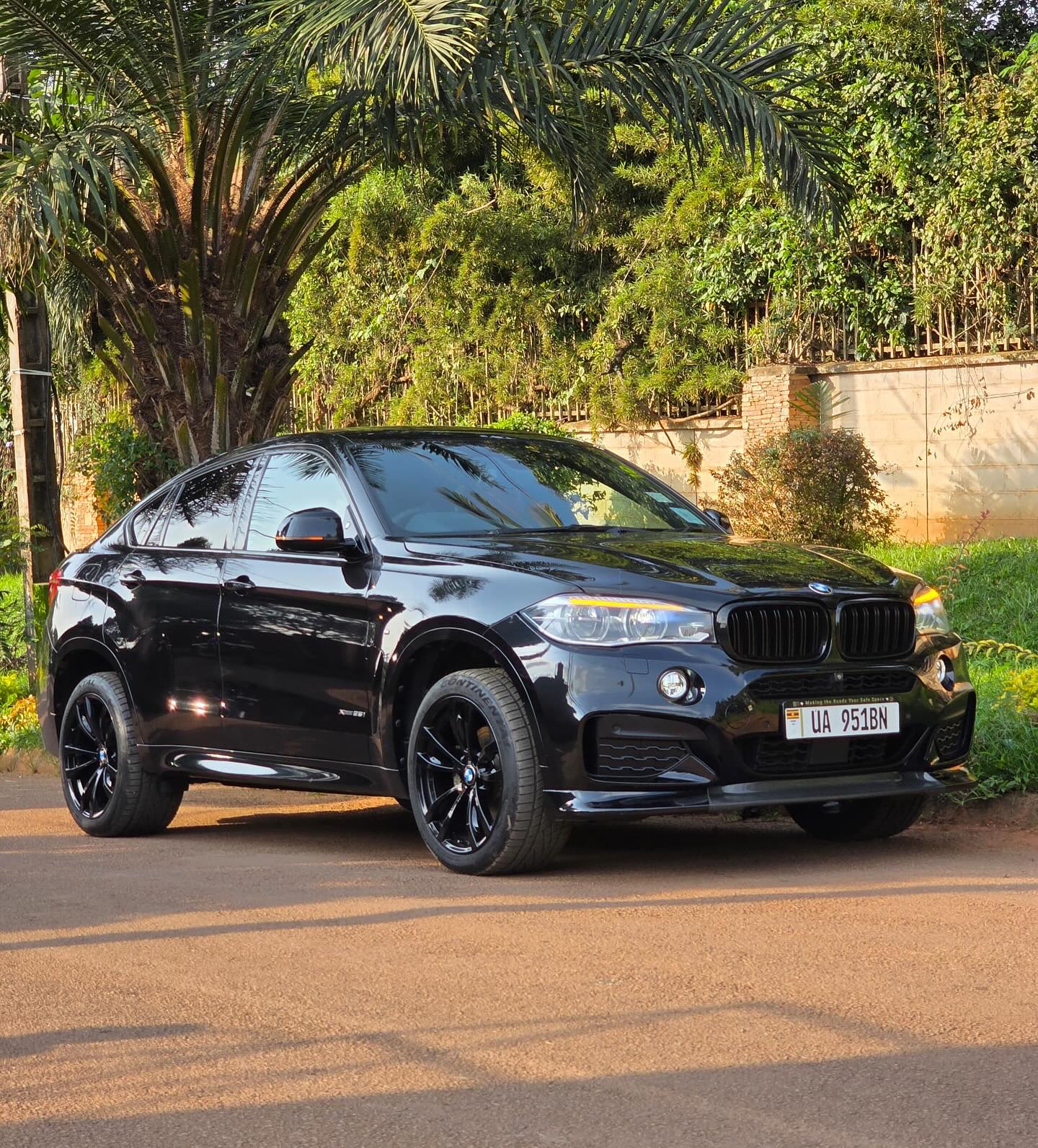 BMW X6 model 2018 petrol engine