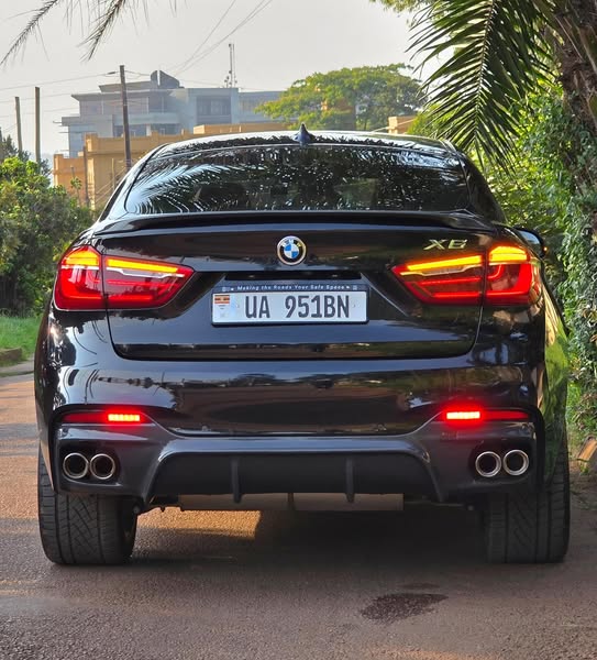 BMW X6 model 2018 petrol engine