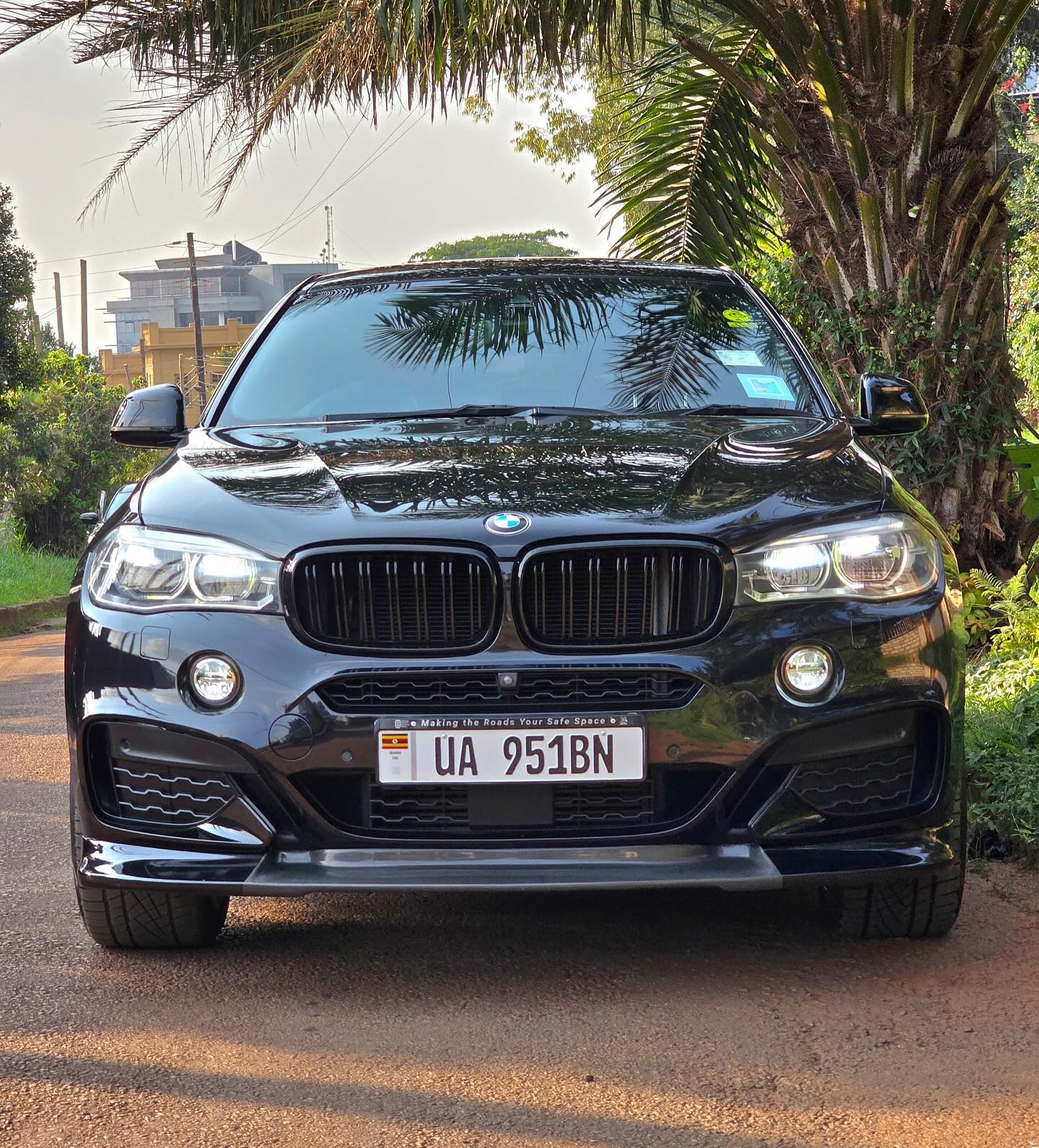 BMW X6 model 2018 petrol engine