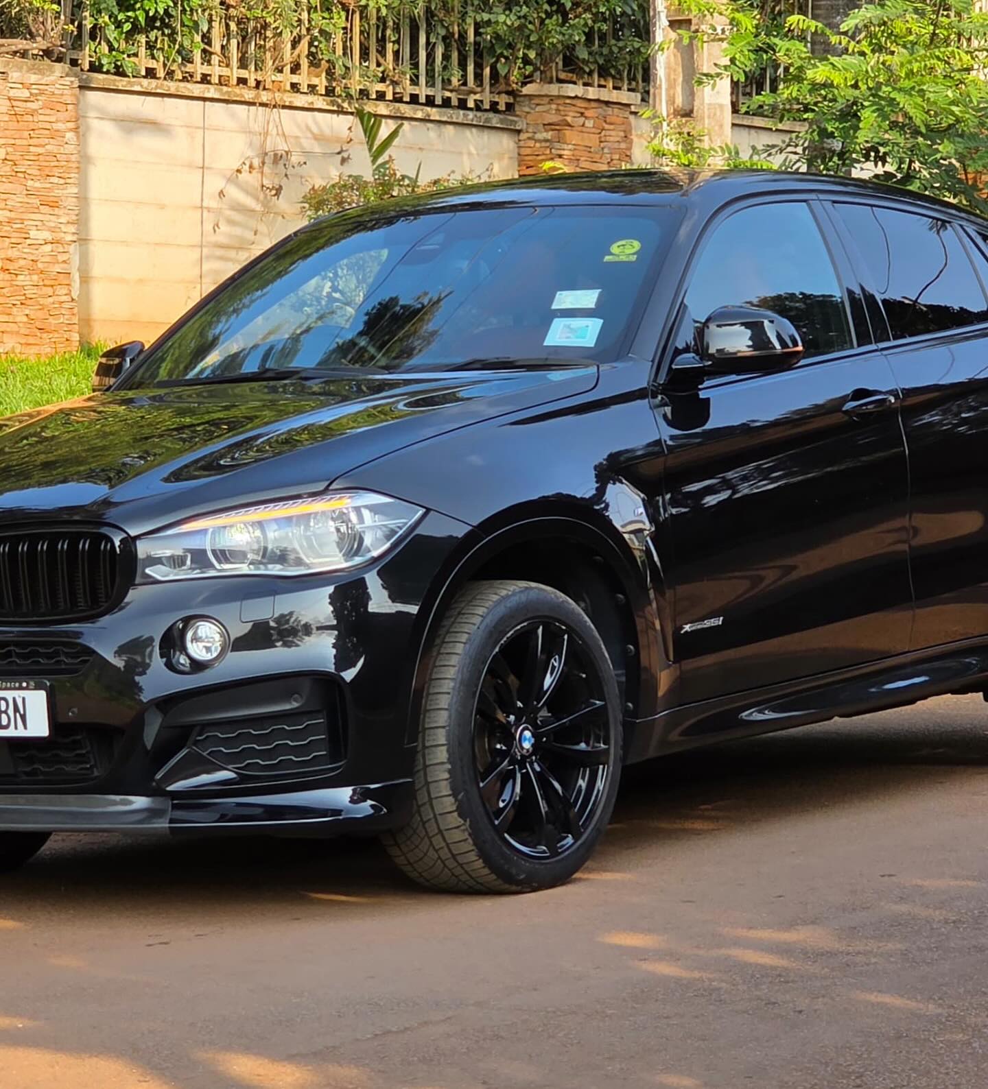 BMW X6 model 2018 petrol engine