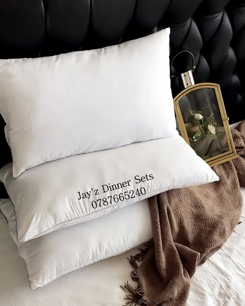 6pc Jayz Luxury Hotel Pillow set