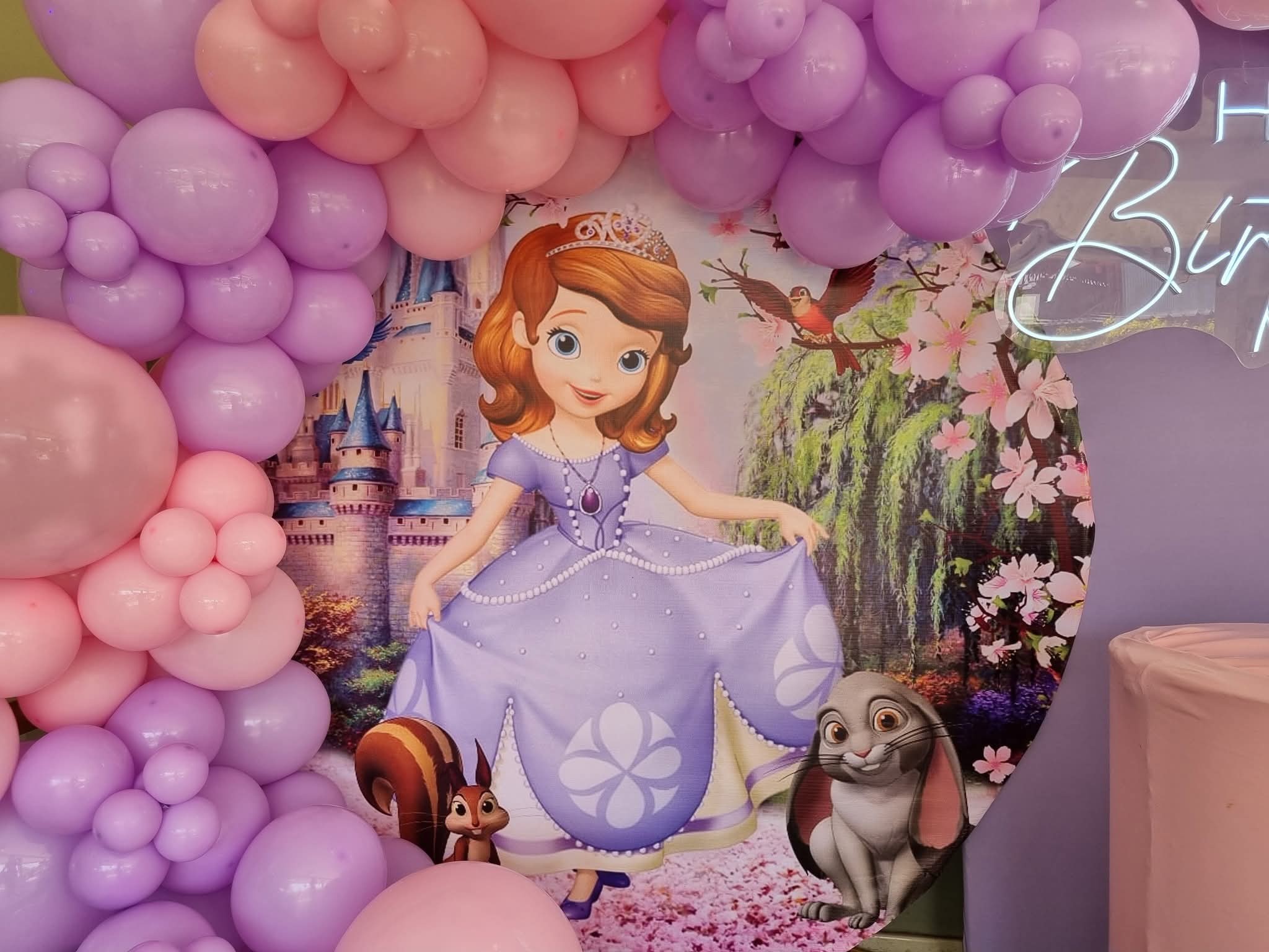 Princess Sofia birthday decoration
