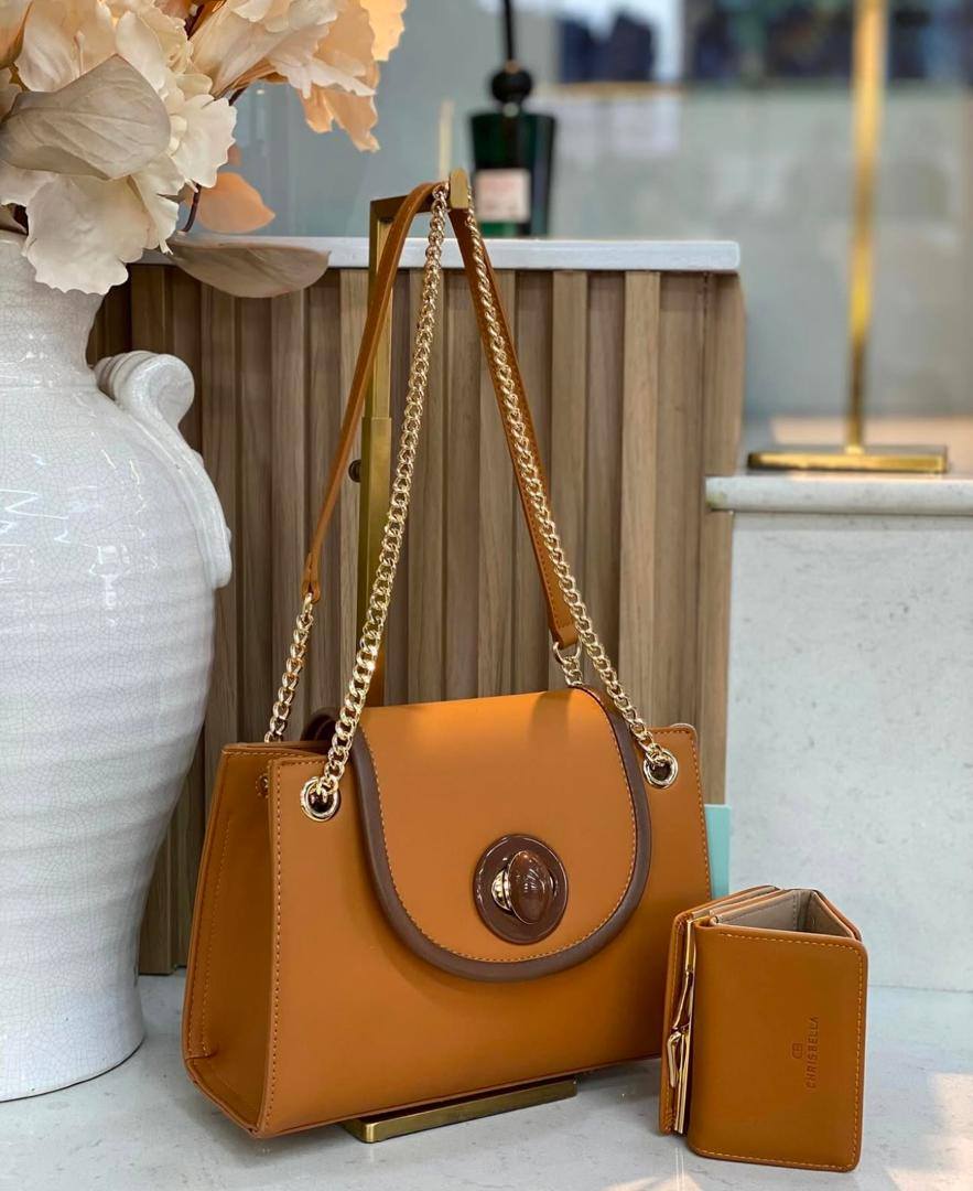 Ladies stylish bags